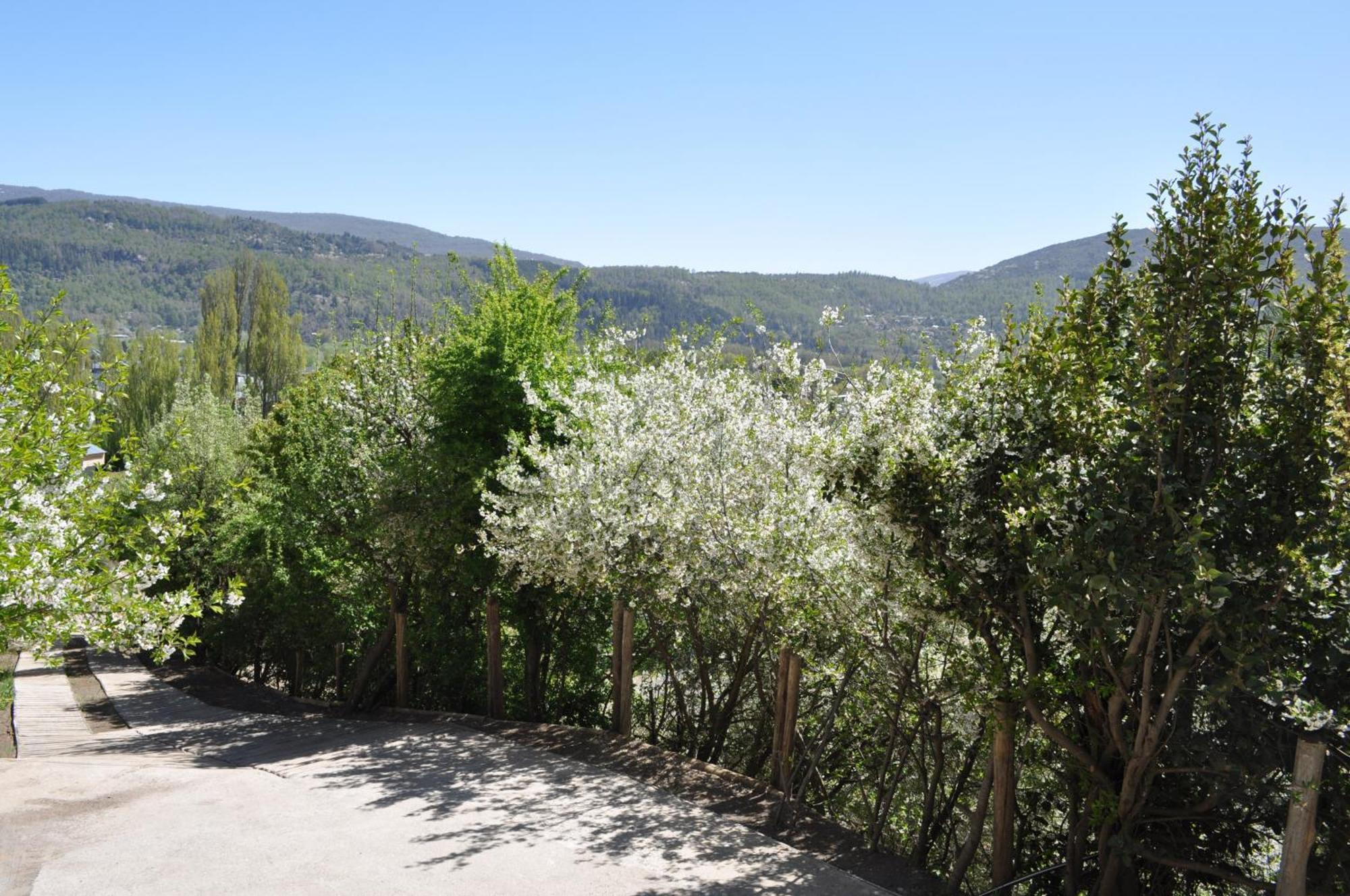 Melodia Natural En San Martín de los Andes Eksteriør billede